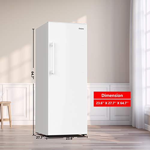 Convertible Freezer/Fridge R51082