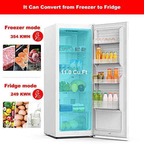 Convertible Freezer/Fridge R51082