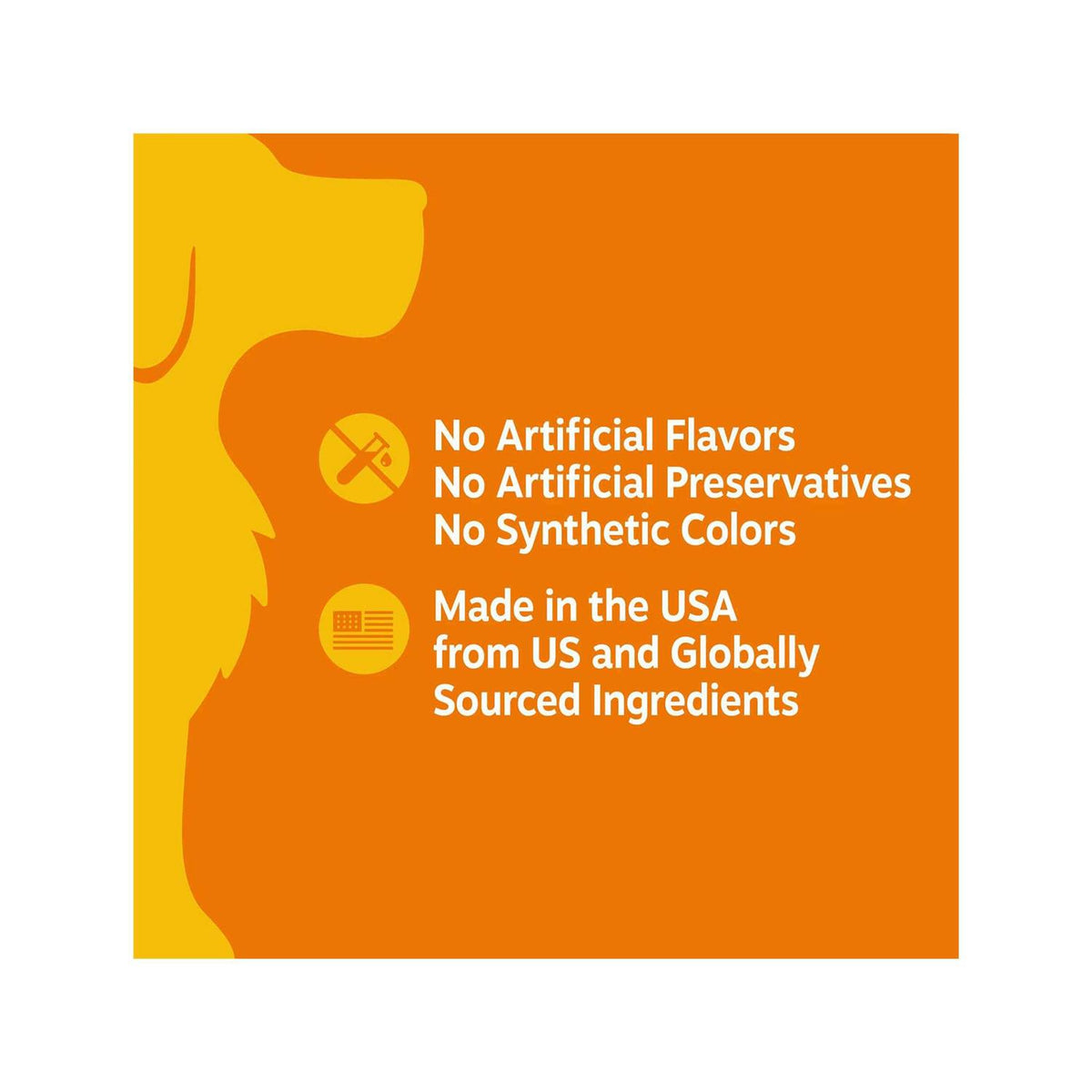 Senior Advanced Cognition Bites L868523