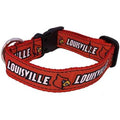Dog Collar U5716