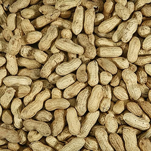 Two 5 Pound Bags Peanuts in Shell for Wild Birds P321