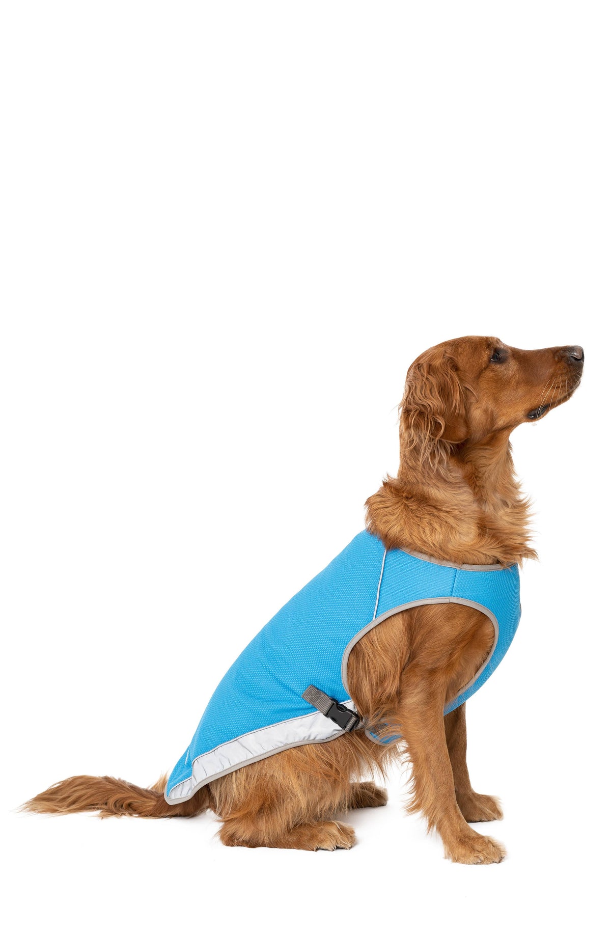 Aqua Cooling Vest Y44328