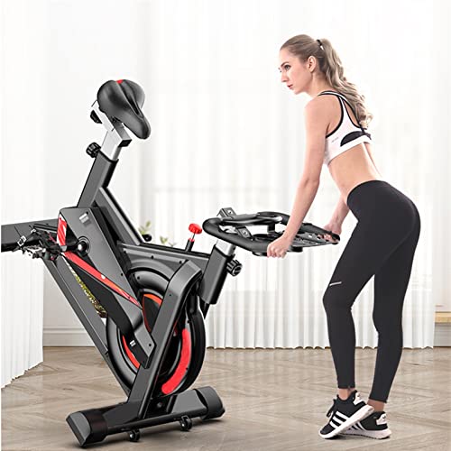Indoor Exercise Bike N297267