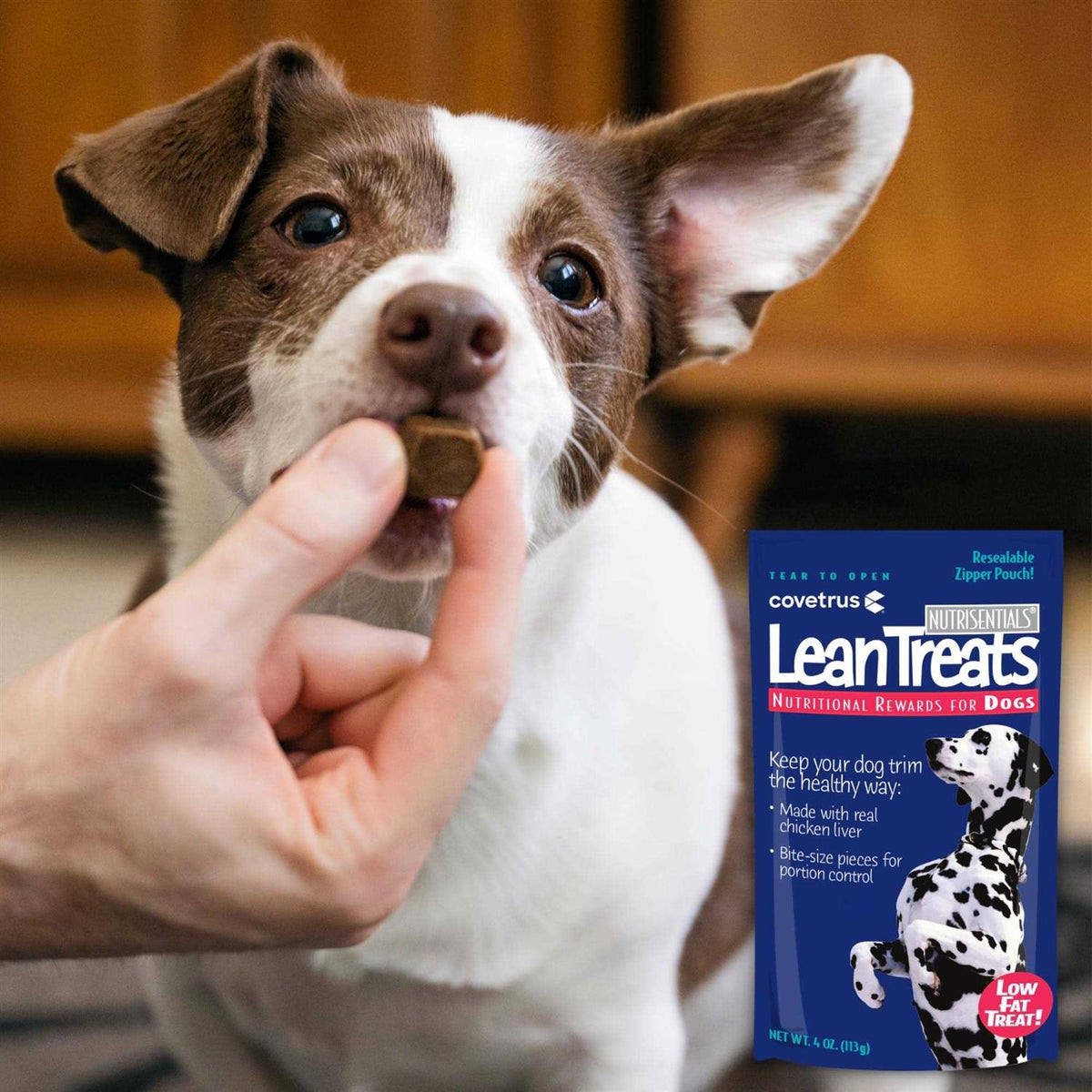 Lean Treats Dogs C403538