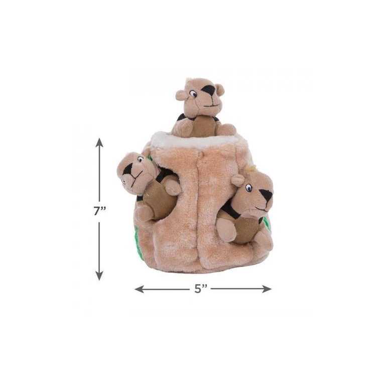 Hide A Squirrel Dog Toy N7996