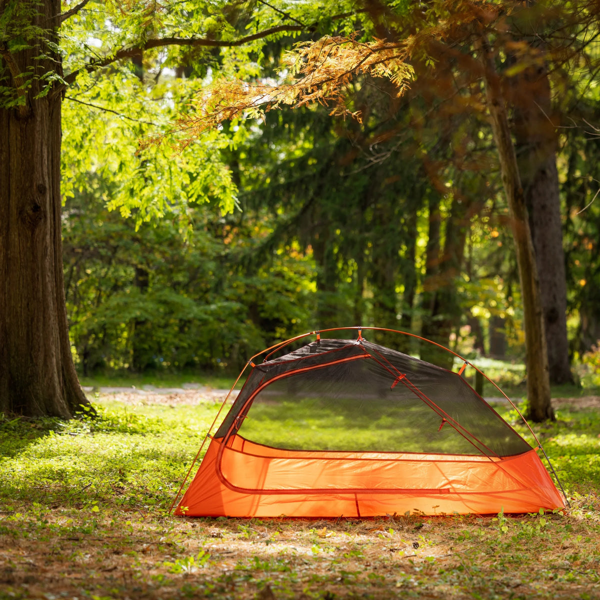 1-Person Lightweight Backpacking Tent, Orange A87615
