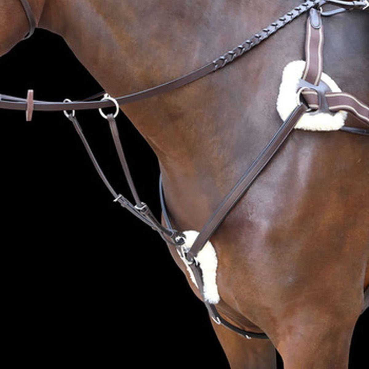 Breastplate D2698