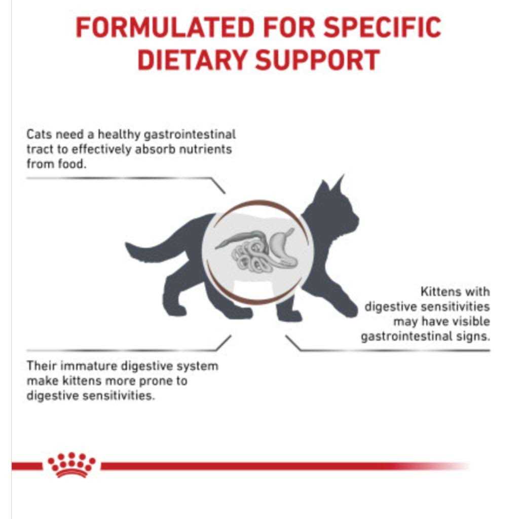 Kitten Dry Cat Food M65855