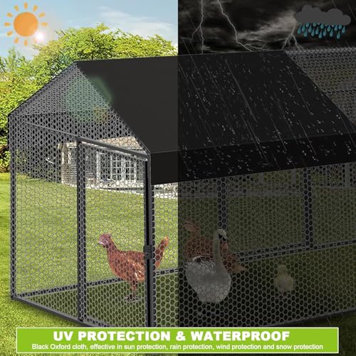 Large Metal Chicken Coop with Cover & Swing Y6573