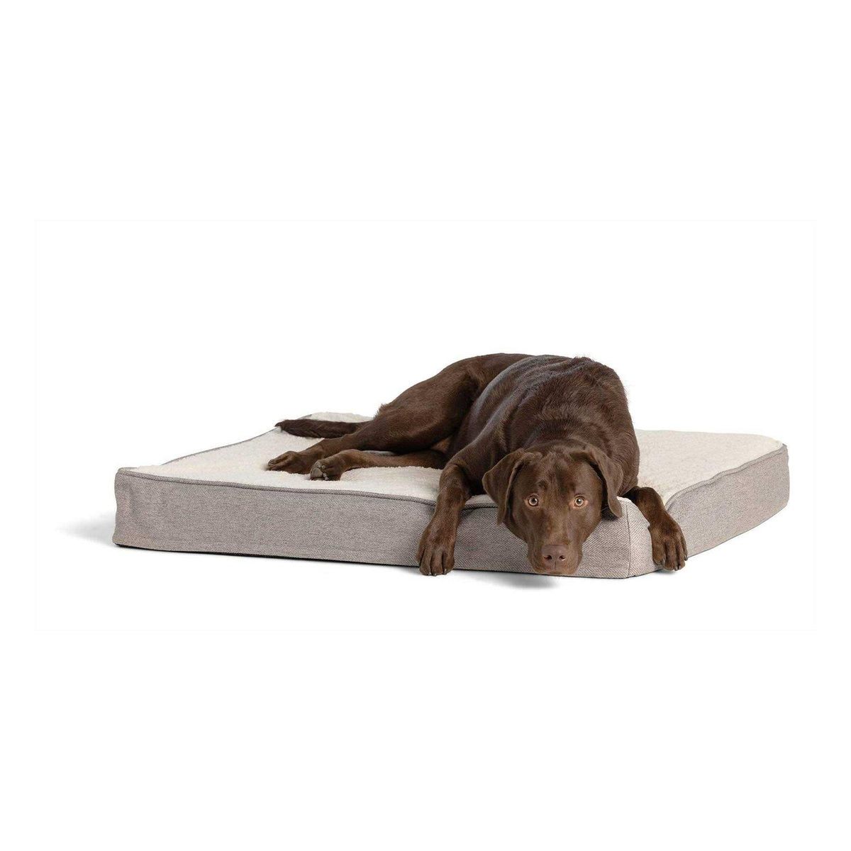 Orthopedic Mattress Dog Bed R62356
