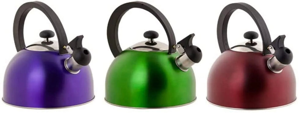 Whistling Stainless Steel Tea Kettle 2.5L B157
