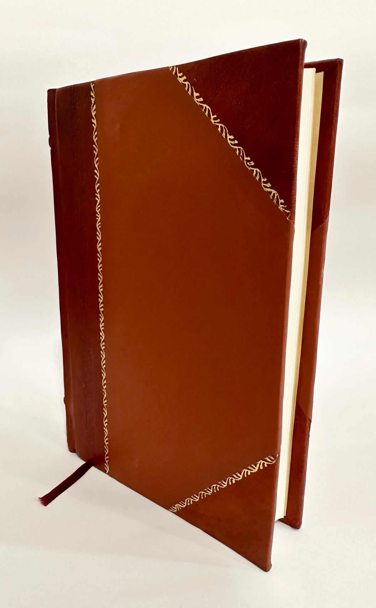 Brachiopodes Monographie 1-2 Leather Bound Y275
