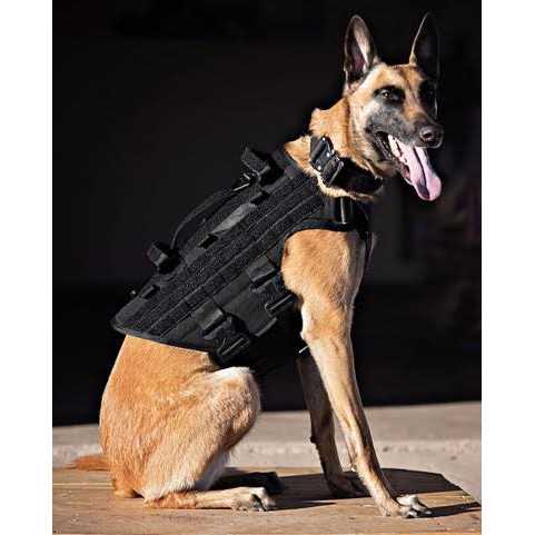 Harness O4869