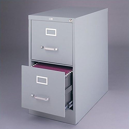 Light Gray 2-Drawer Vertical File Cabinet V84317