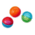 Spiky Ball Dog Toy J491