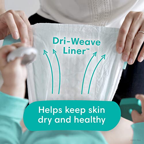 Size 1 120 Count Absorbent Disposable Diapers G615161