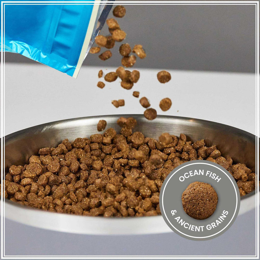 Ancient Grains with Ocean Fish Dog Food X12530