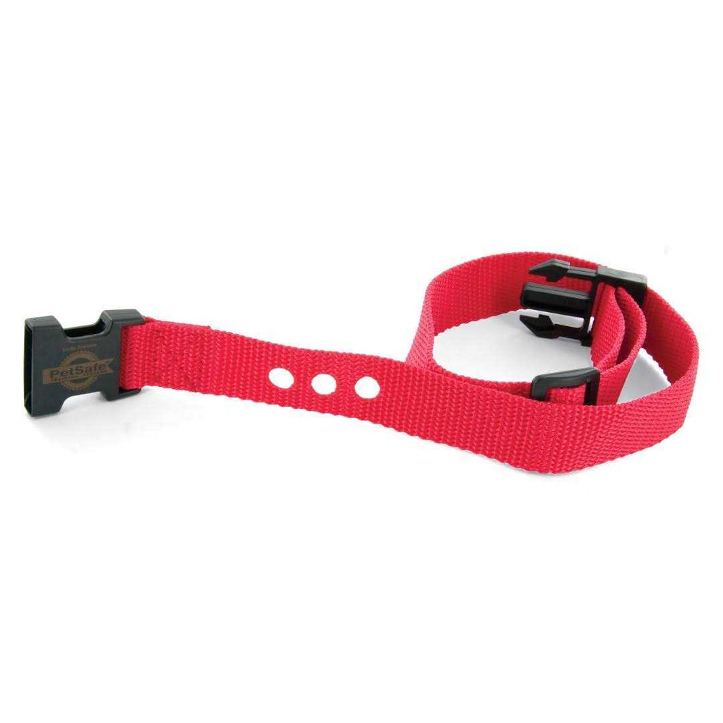 1 Inch Replacement Collar Strap U4464