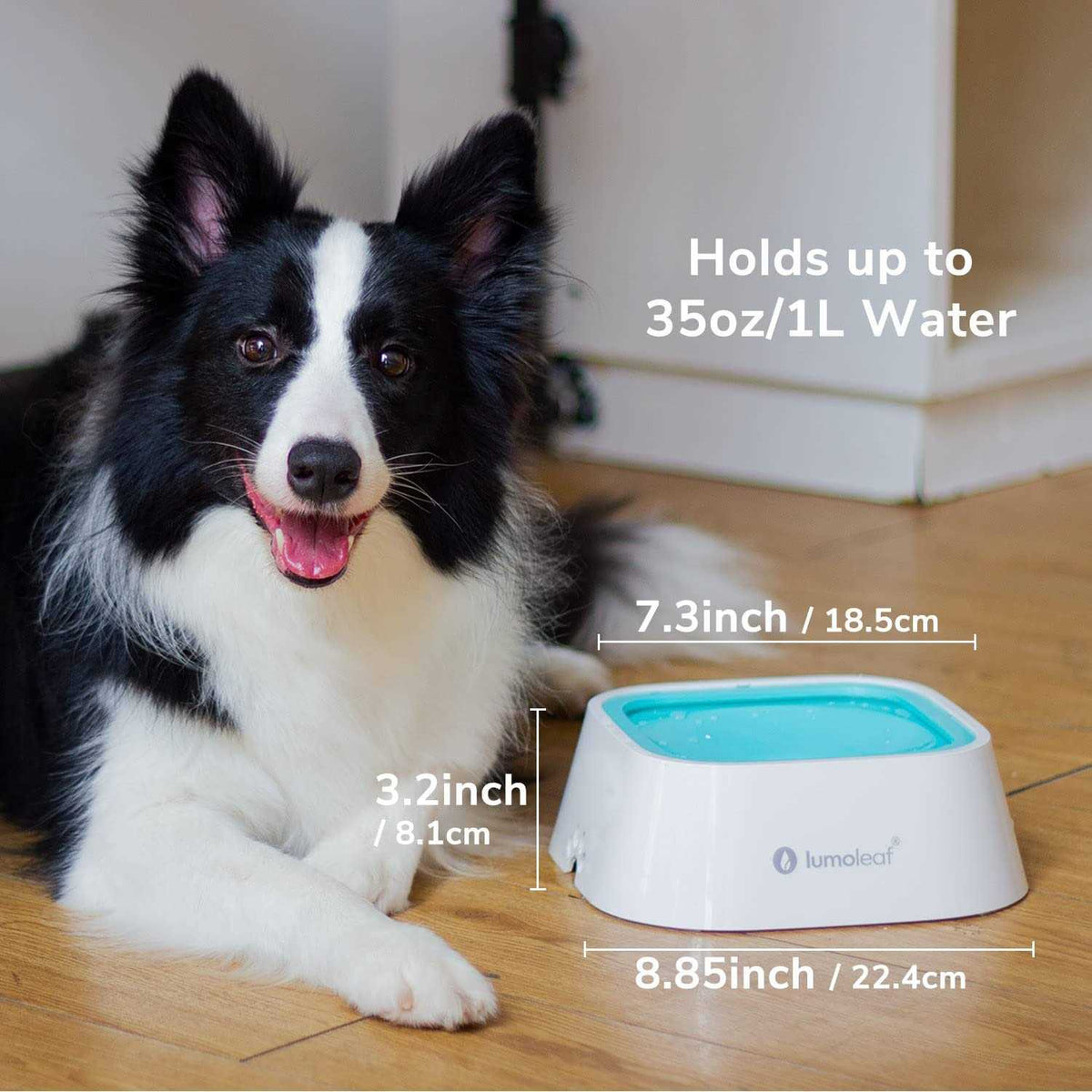 Dog Water Bowl Slow Feeder Bowl R432