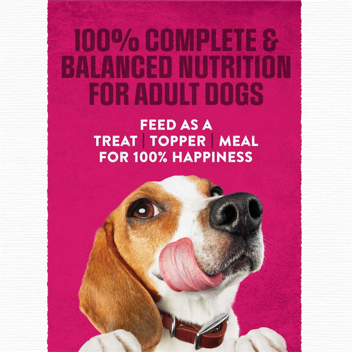 Steak Flavor Dry Dog Food H2403