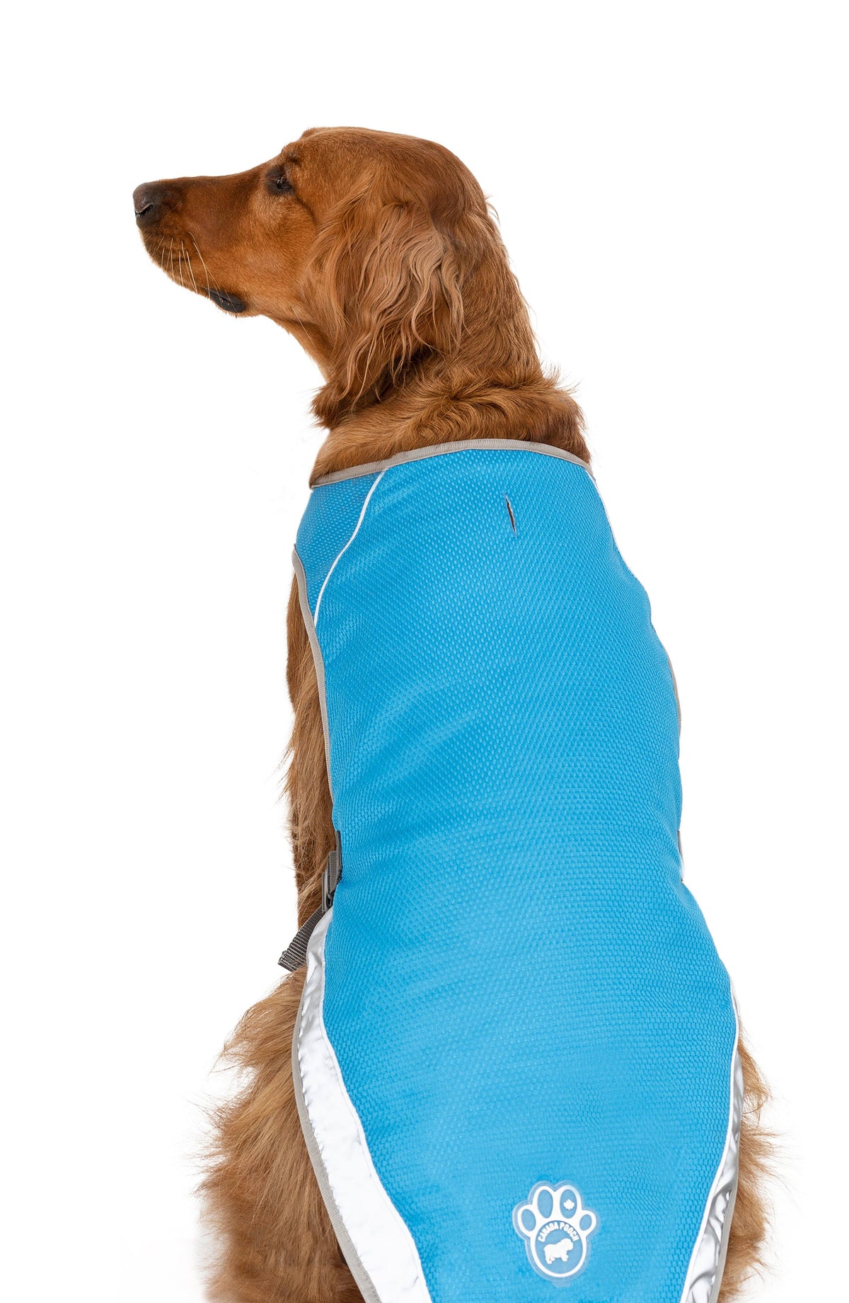 Aqua Cooling Vest Y44328