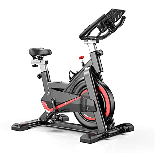 Indoor Exercise Bike N297267