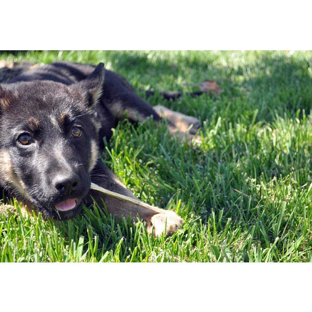 Oral Hygiene Dental Dog Treats T355