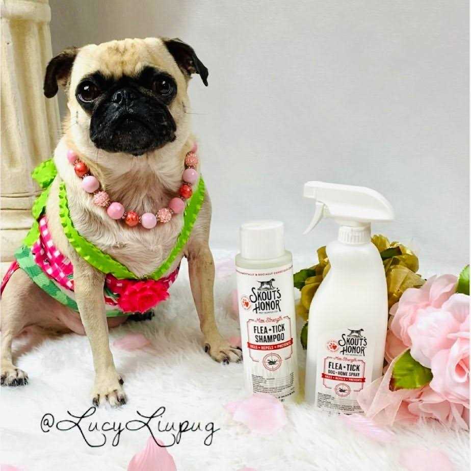 Flea & Tick Shampoo M427