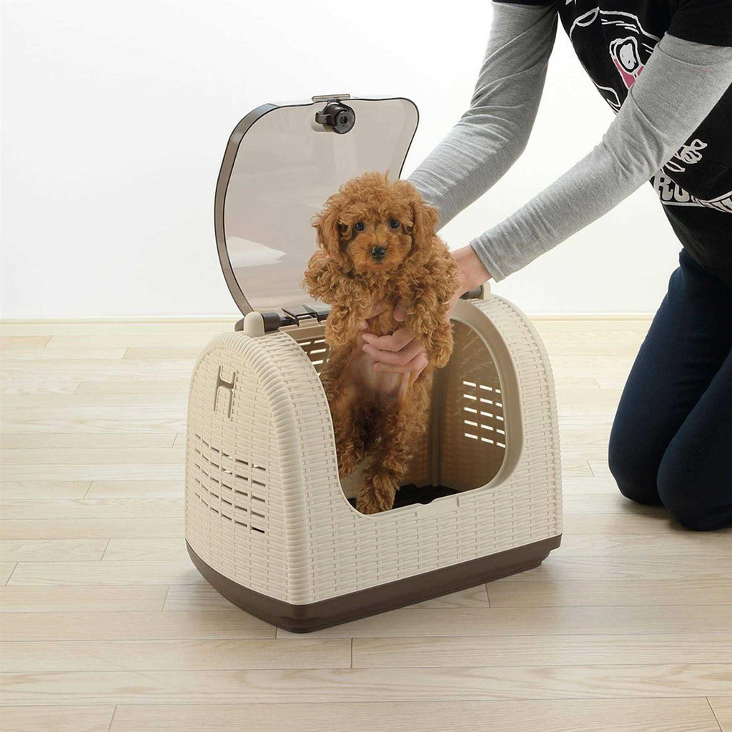 Faux Wicker Pet Carrier C702767