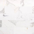 Calacatta Gold 6x12 Polished Marble Tile V7620