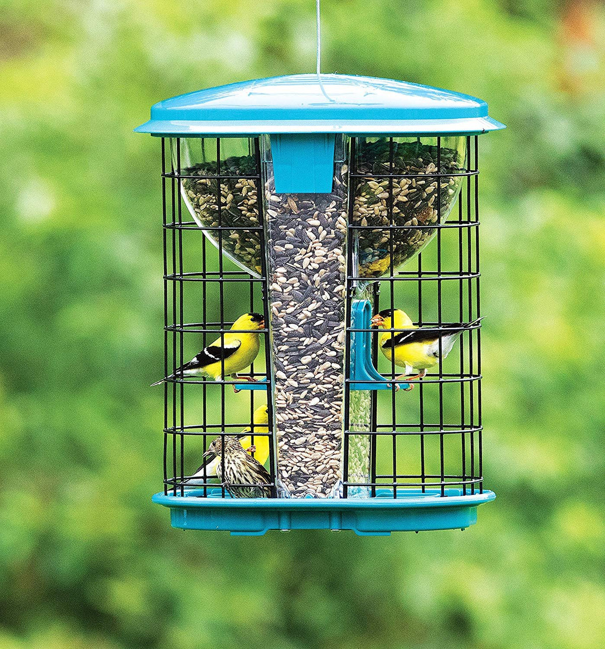 Green Hopper Bird Feeder with Two Feeding Ports T717