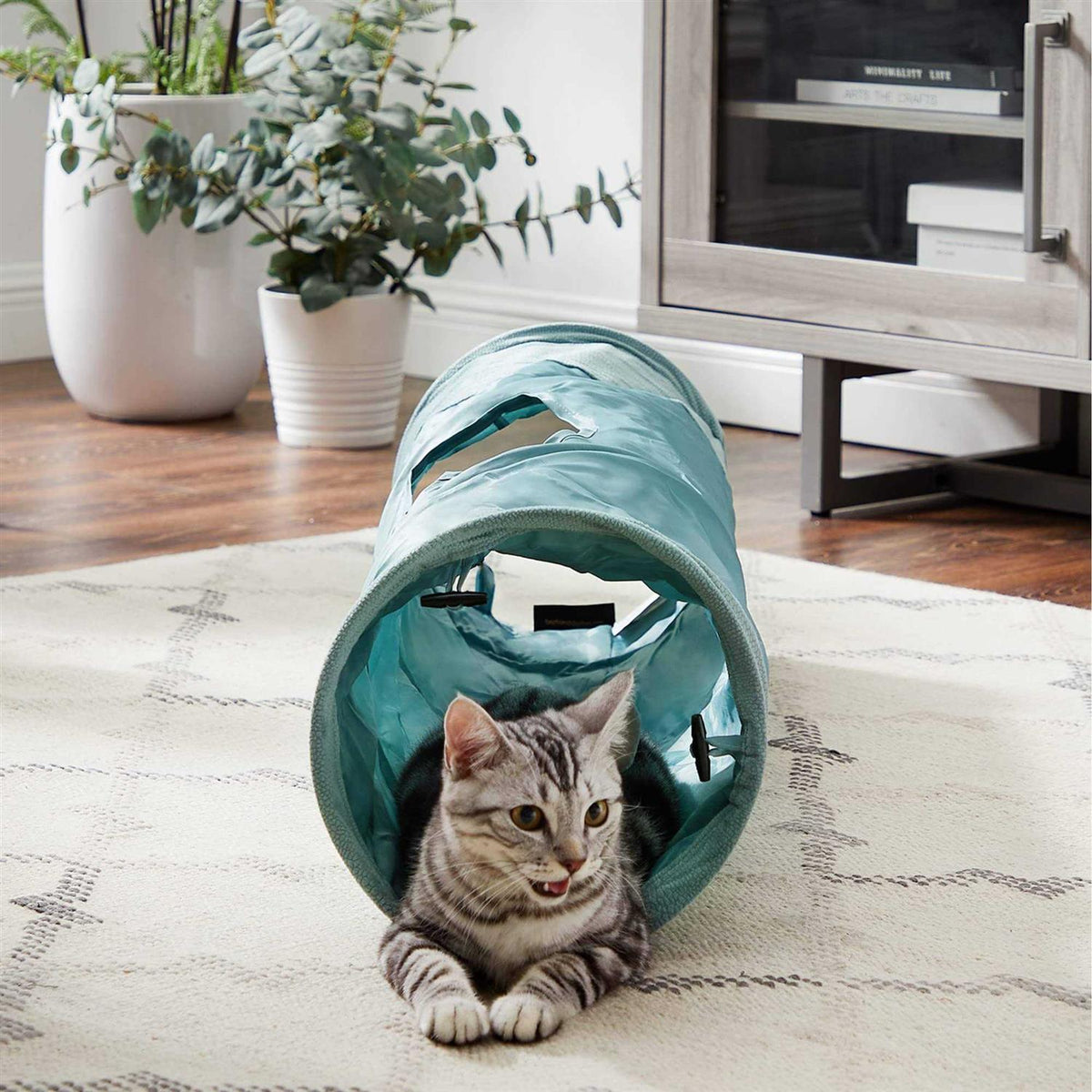 Cat Tunnel I1729