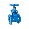 Cast Iron Gate Valve 2 in M654057