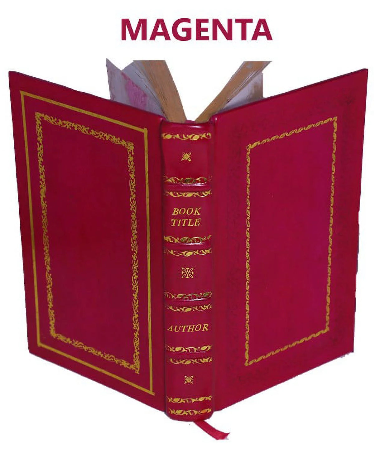 Premium Leather Bound O430