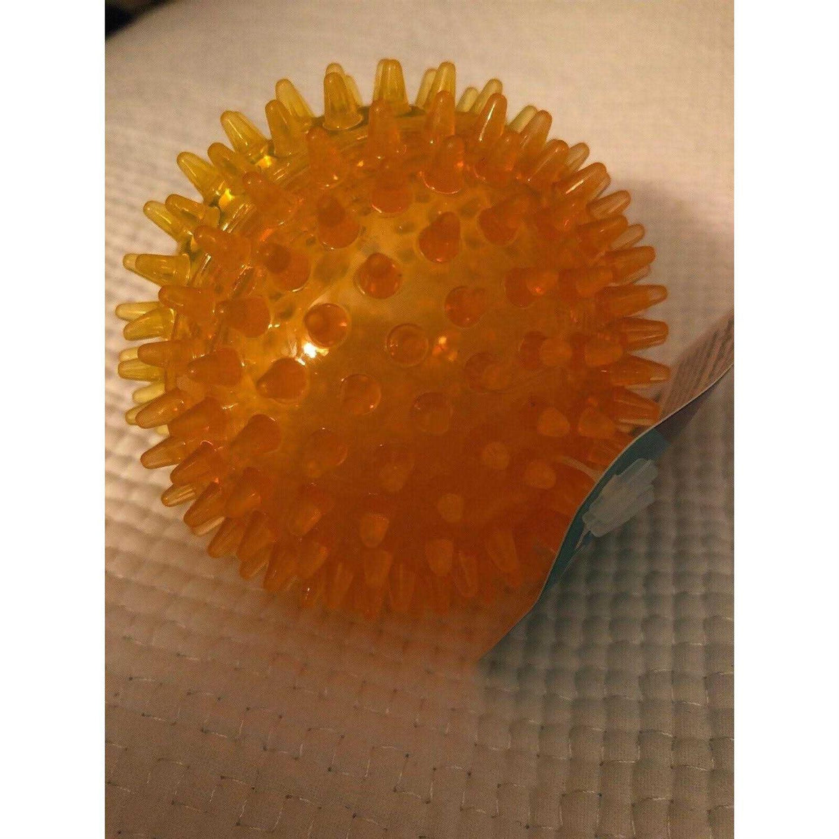 Spiky Ball Dog Toy J491
