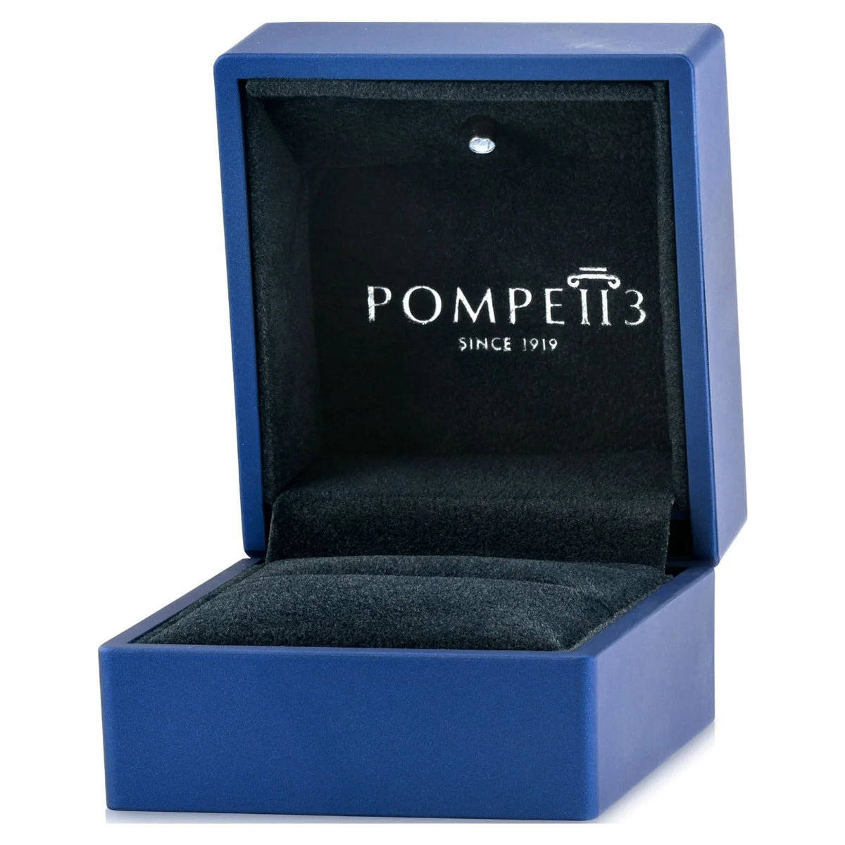 Black Diamond Stud Earrings in 14K Gold Y48066