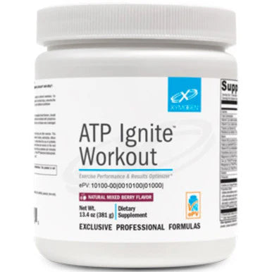 Workout Mixed Berry Powder 30 servings R40740