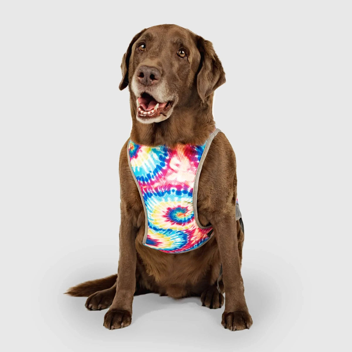 Aqua Cooling Vest Y44328