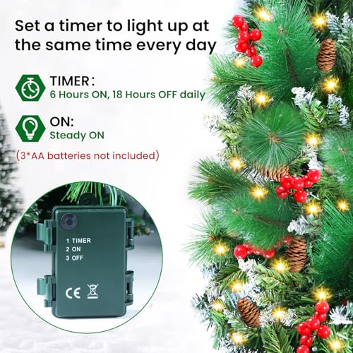 50 LEDs 9FT Prelit Garland Q318905