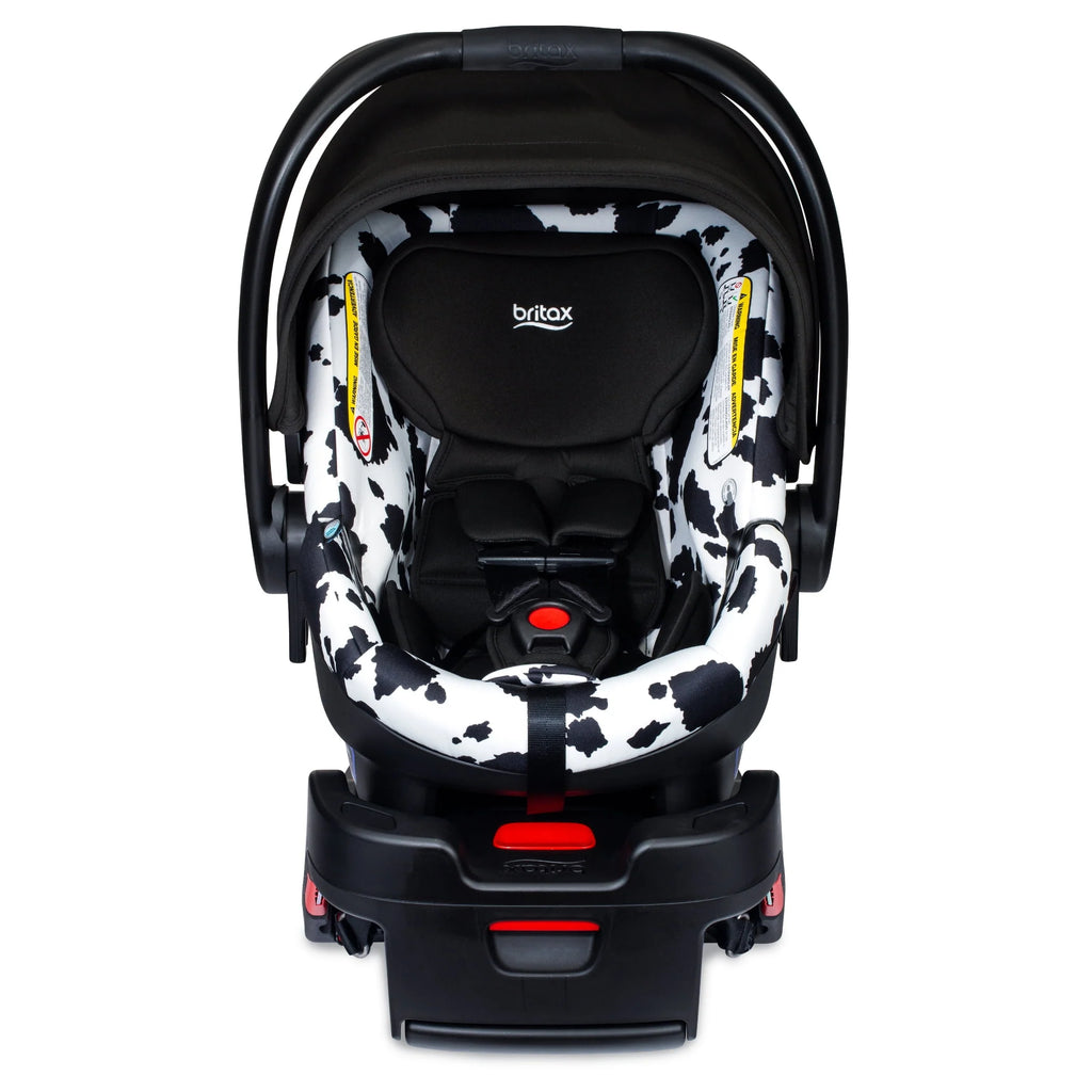 Infant Car Seat K300567