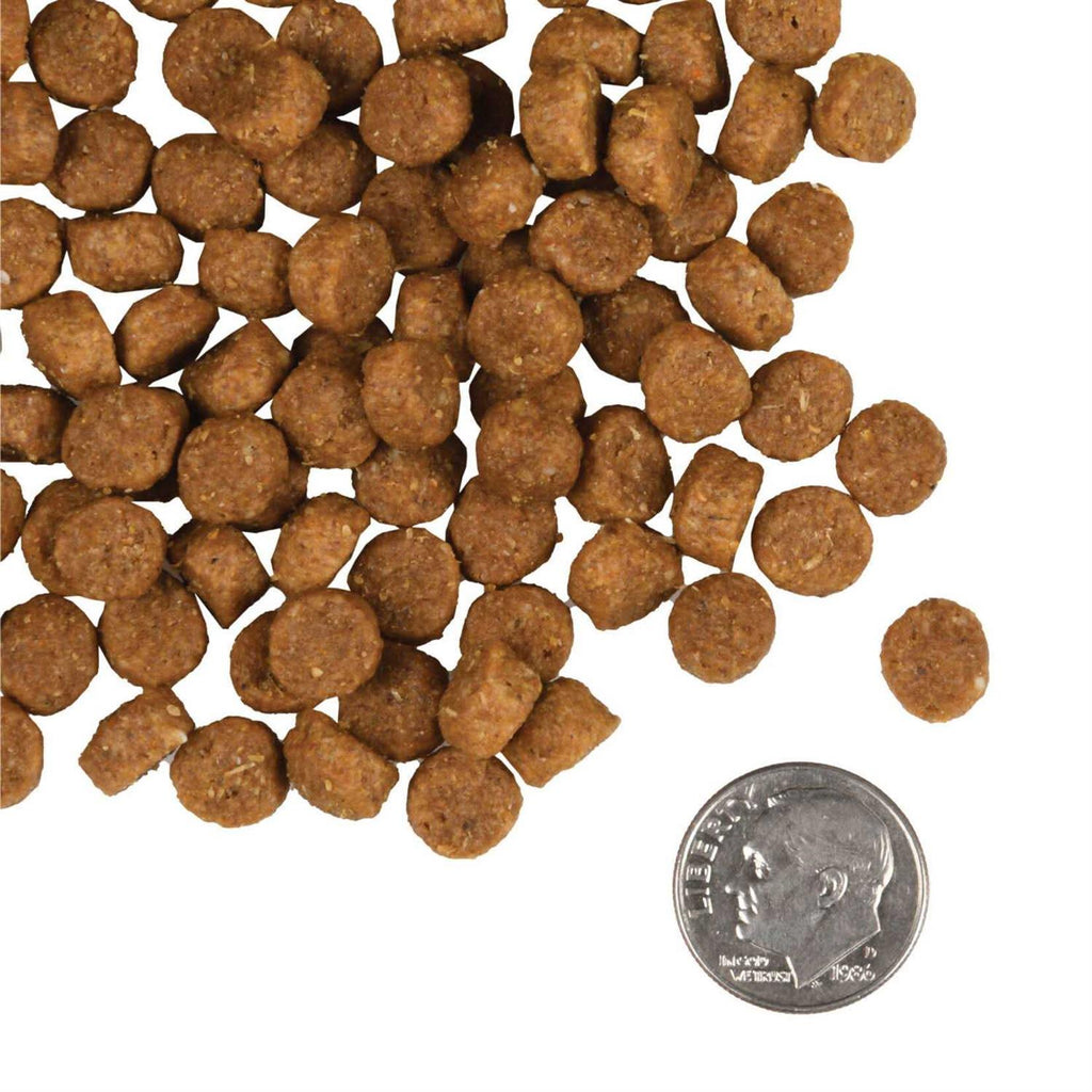 Puppy Dog Food K1661