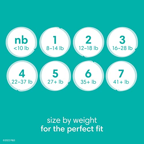 Size 1 120 Count Absorbent Disposable Diapers G615161