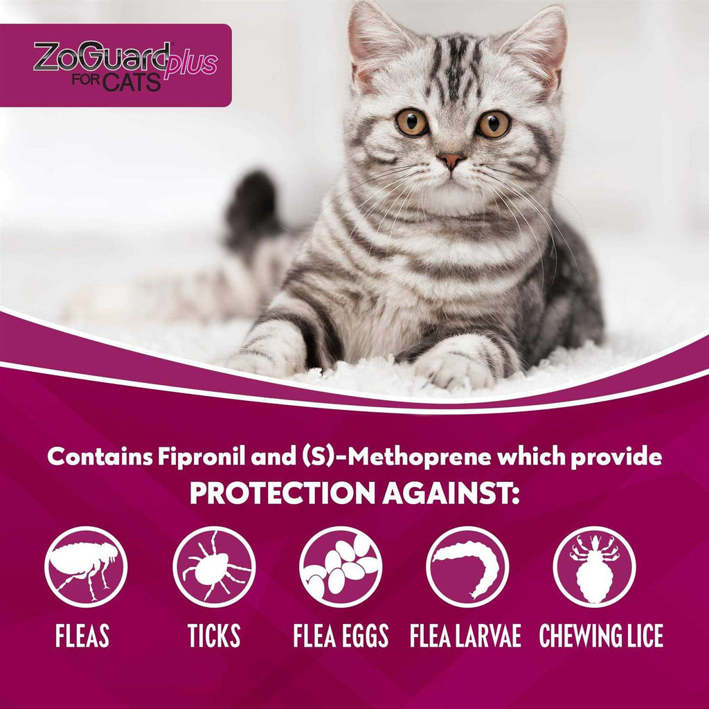 ZoGuard Plus for Cats B189887
