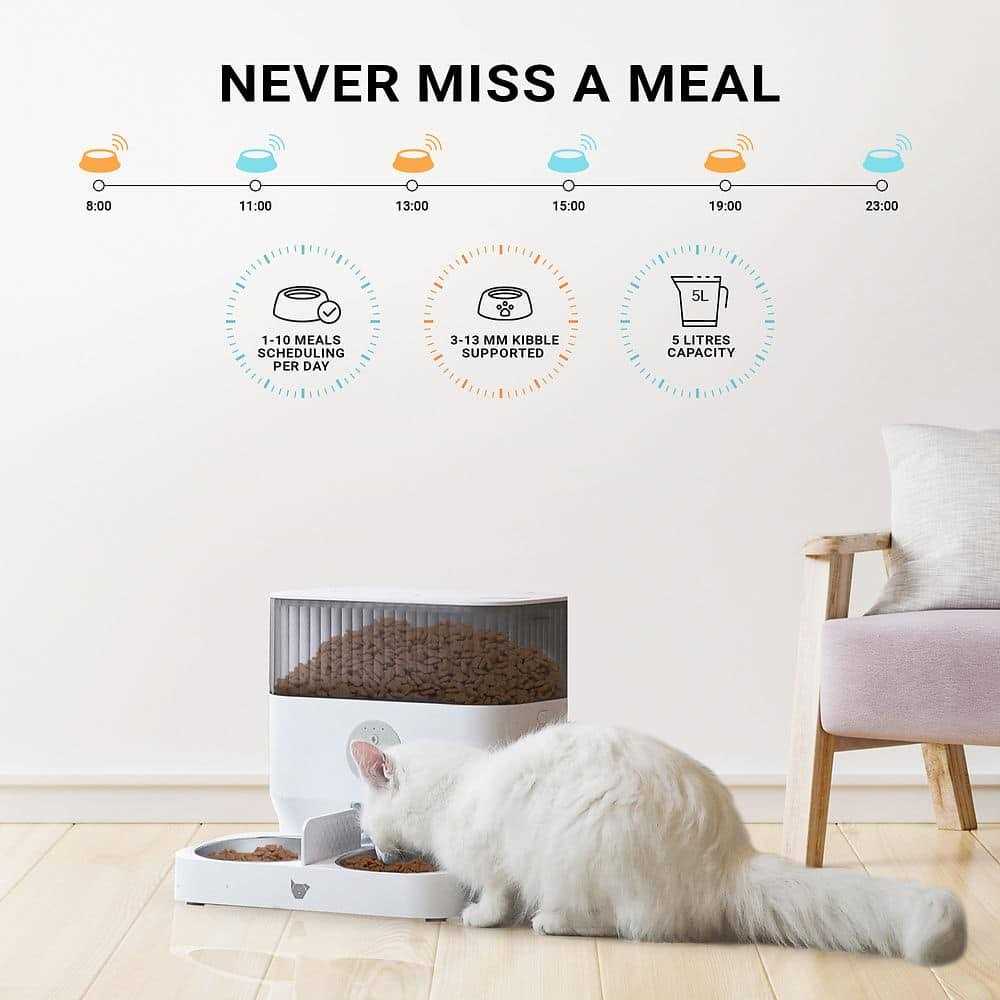 Automatic Pet Feeder Y505873