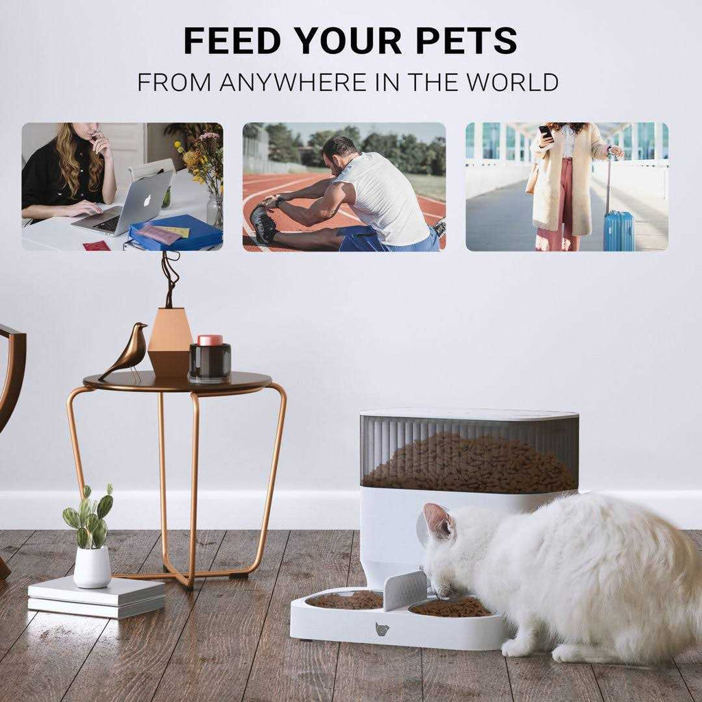 Automatic Pet Feeder Y505873