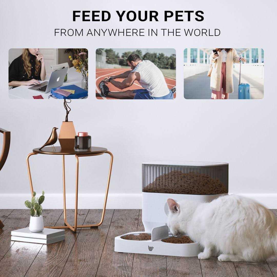 Automatic Pet Feeder Y505873