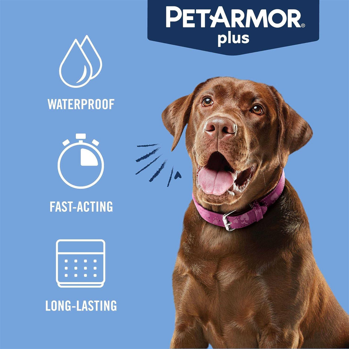 Flea and Tick Treatment for Large Dogs N288