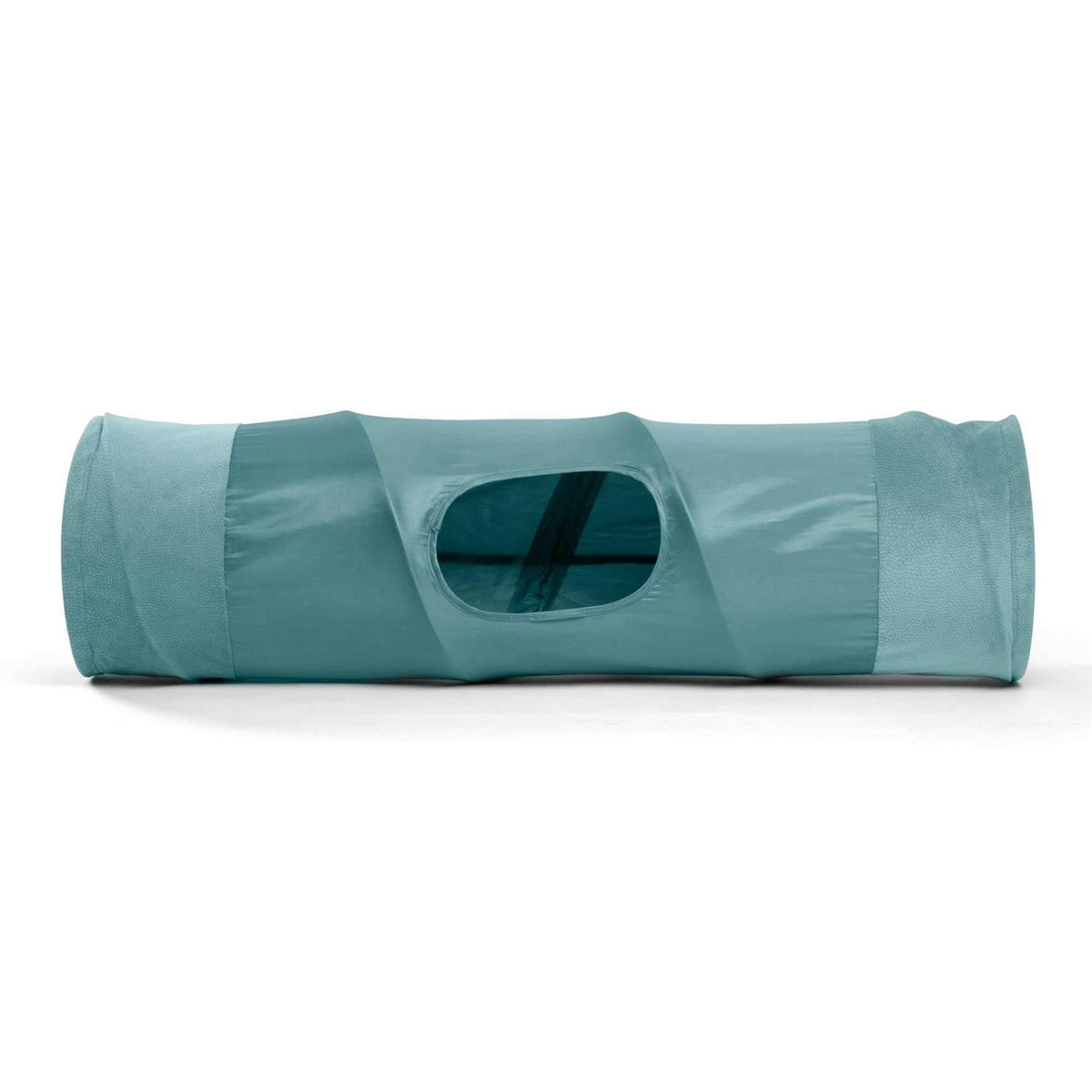 Cat Tunnel I1729