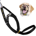 Padded Dog Training Head Collar U514857