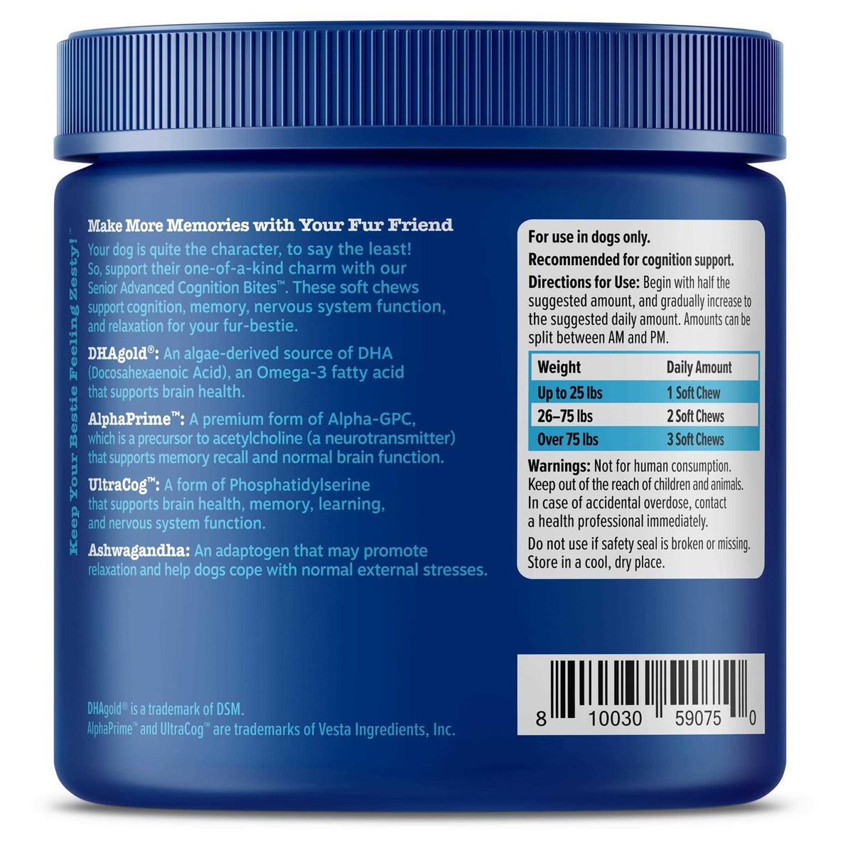 Senior Advanced Cognition Bites L868523